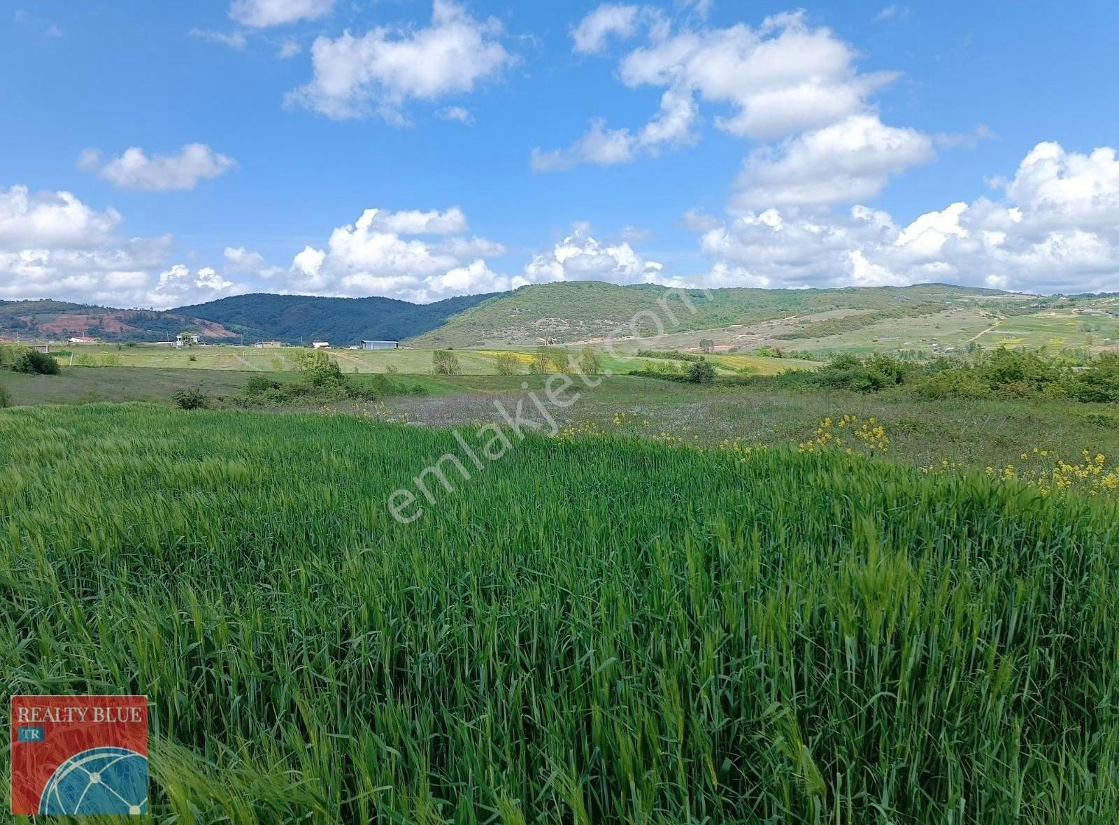 Körfez Kutluca Köyünde Satılık %5 İmarlı Arsa - Görsel 5