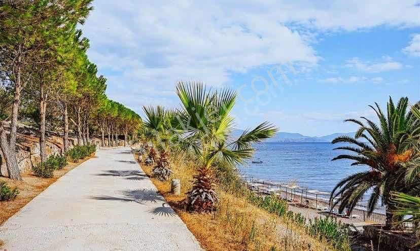 Asos Kocaköy Mevkii Özel Plajlı Tadilatlı 3+1 Tripleks Villa - Görsel 17