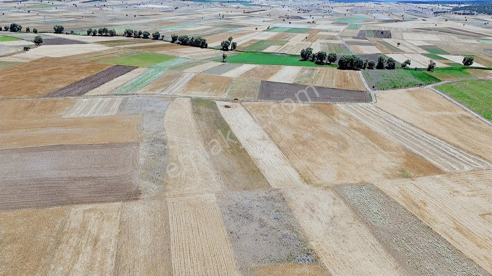 C21 Net'ten Satılık Tefenni Beyköyde 3.378m Tarla - Görsel 2