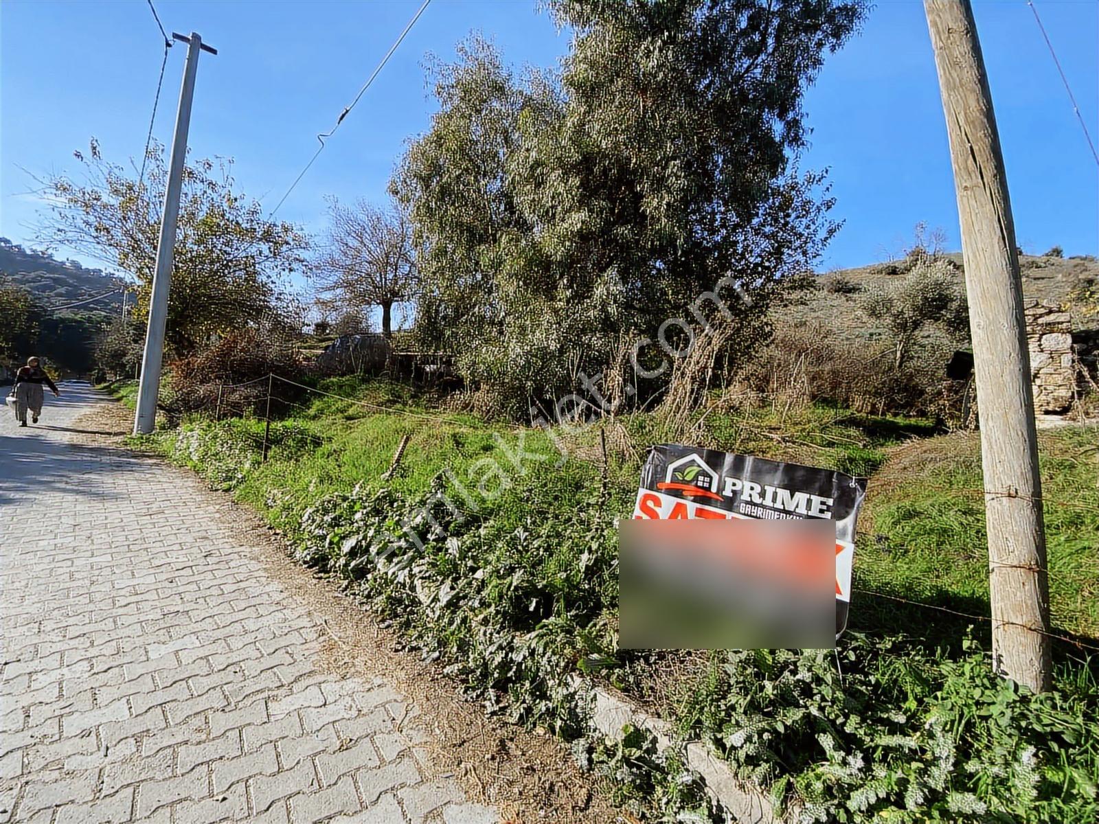 Aydın Koçarlı Çakırbeyli De Satılık 1.390 M2 İmarlı Arsa - Görsel 21