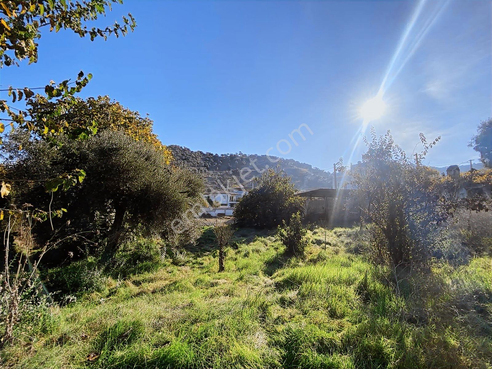 Aydın Koçarlı Çakırbeyli De Satılık 1.390 M2 İmarlı Arsa - Görsel 15