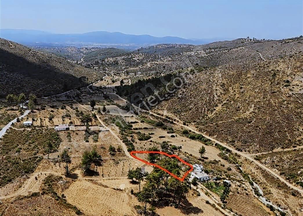 Bodrum Mumcular Gökpınar'da Satılık Tarla
