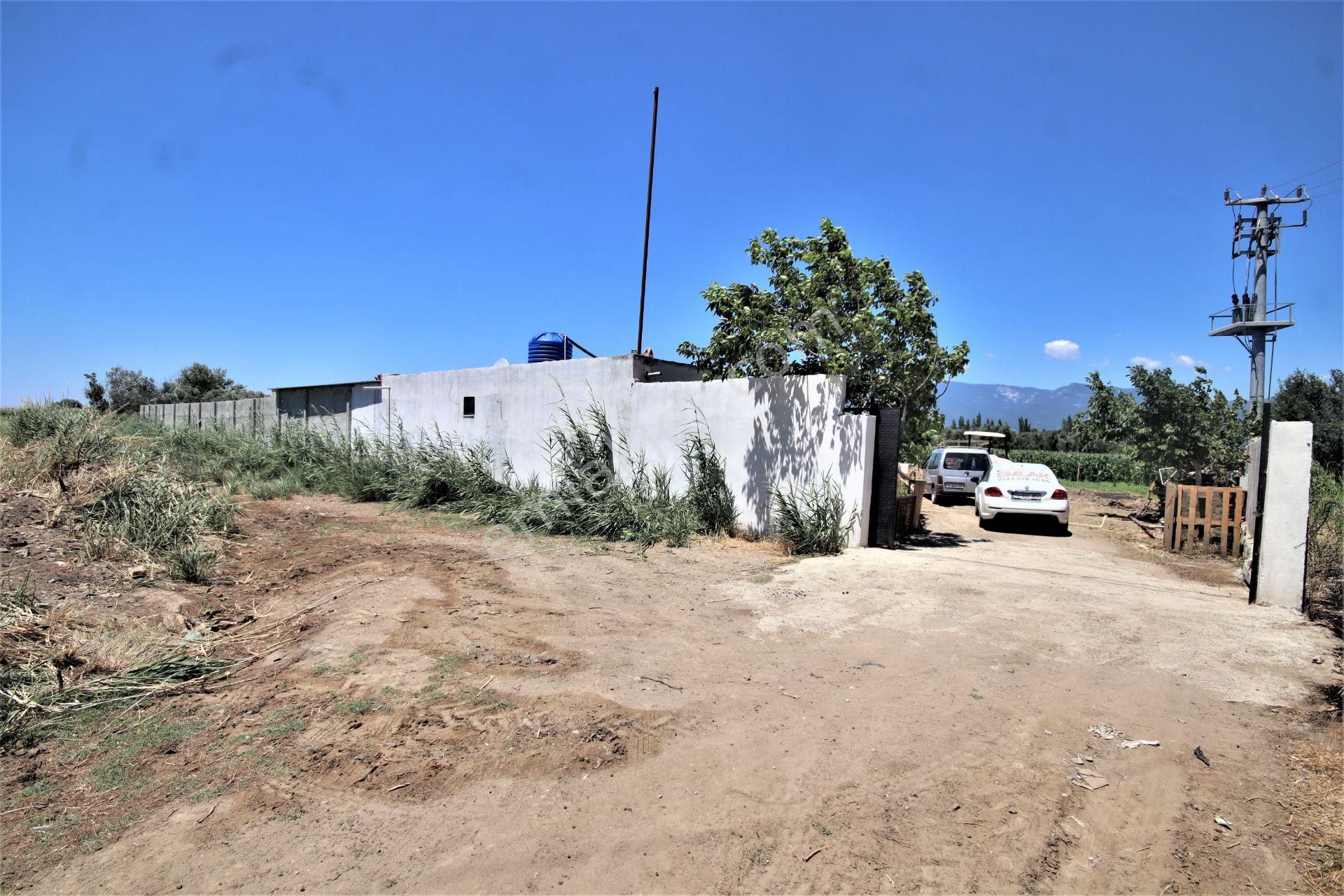 Aygül Den Edremit Çıkrıkçı Da Elektrik Suyu Olan 16.500 M2 Satılık Çiftlik Ve 3+1 Mustakil Daire - Görsel 34