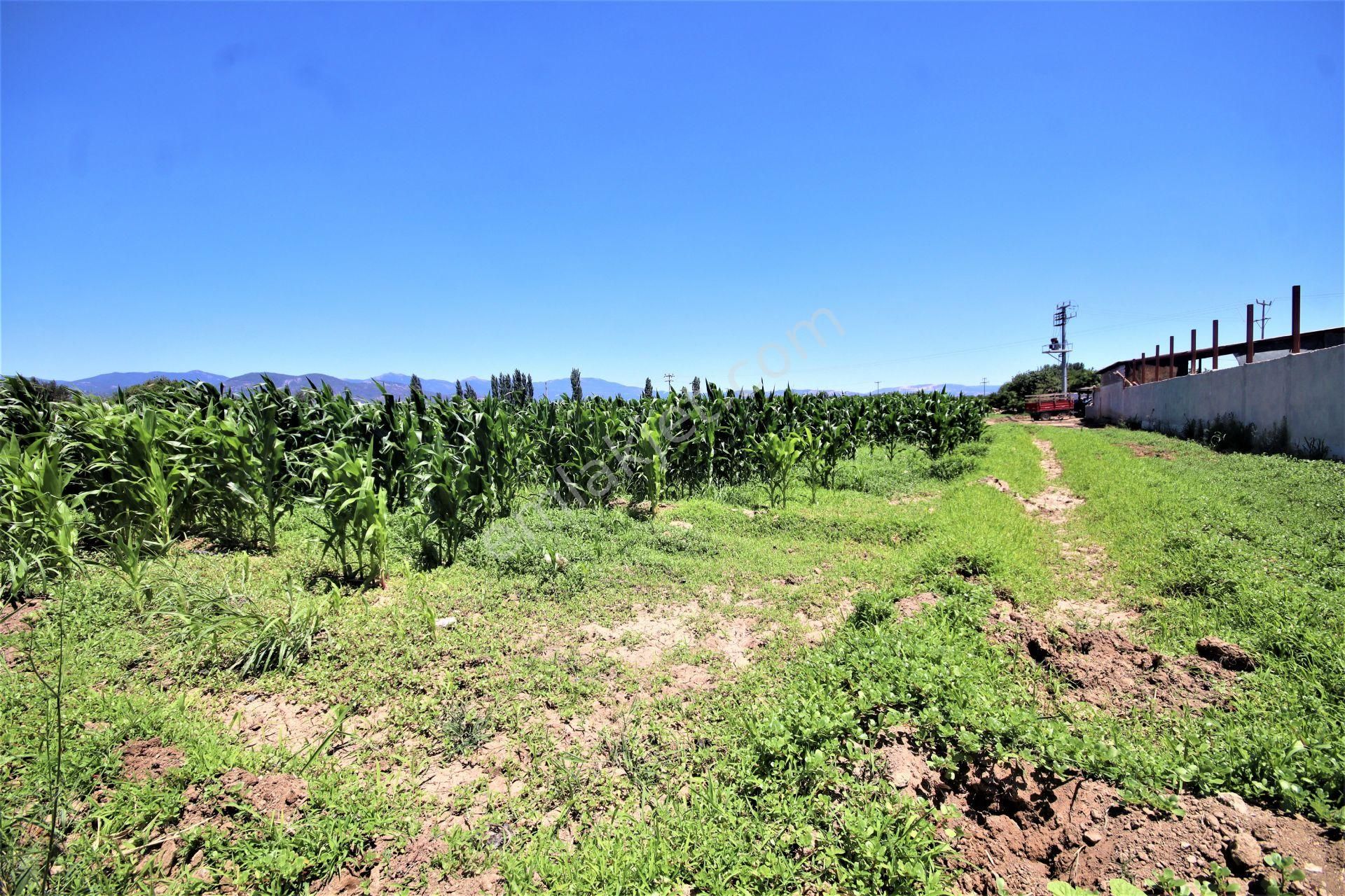 Aygül Den Edremit Çıkrıkçı Da Elektrik Suyu Olan 16.500 M2 Satılık Çiftlik Ve 3+1 Mustakil Daire - Görsel 29