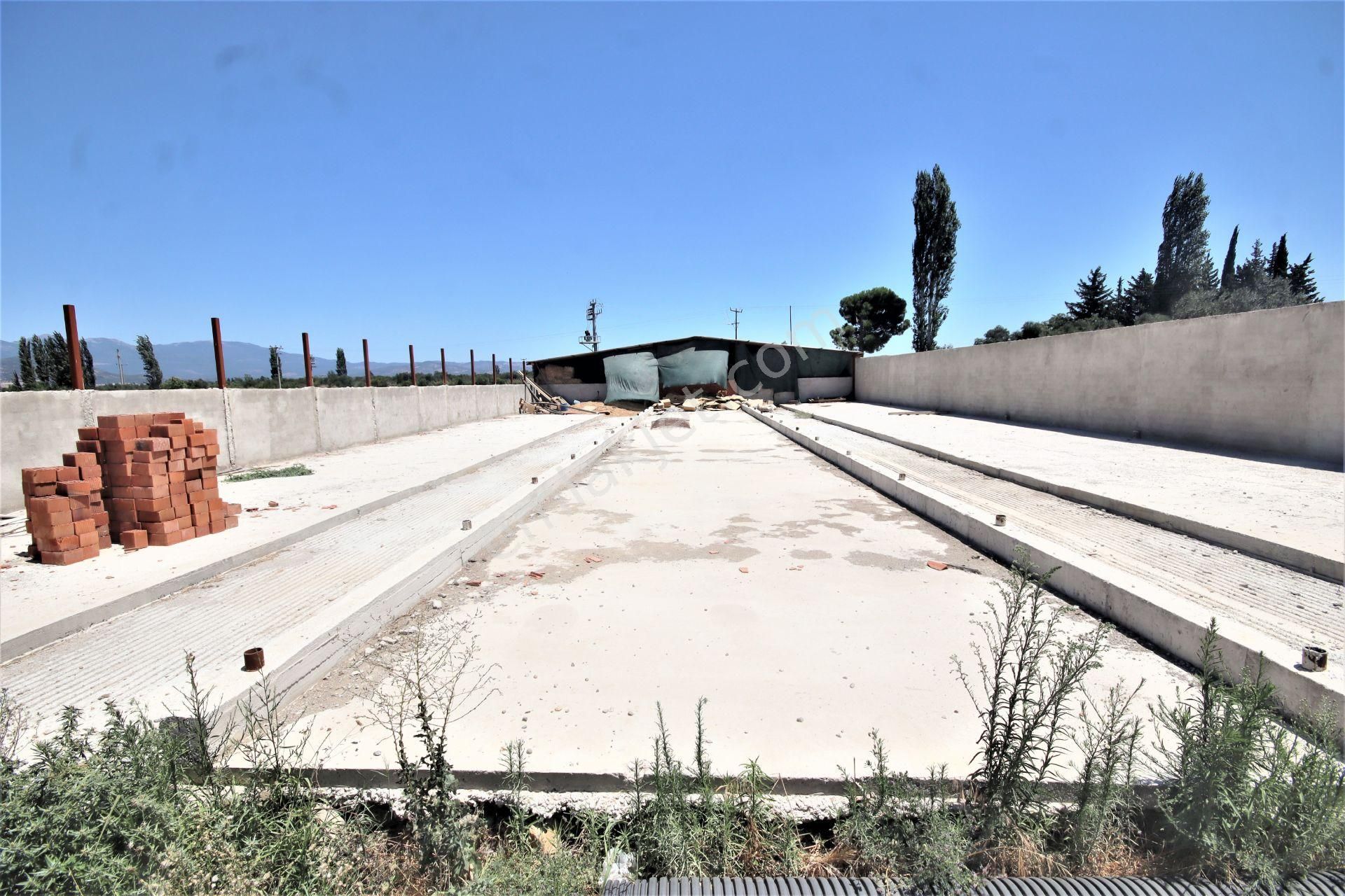 Aygül Den Edremit Çıkrıkçı Da Elektrik Suyu Olan 16.500 M2 Satılık Çiftlik Ve 3+1 Mustakil Daire - Görsel 30