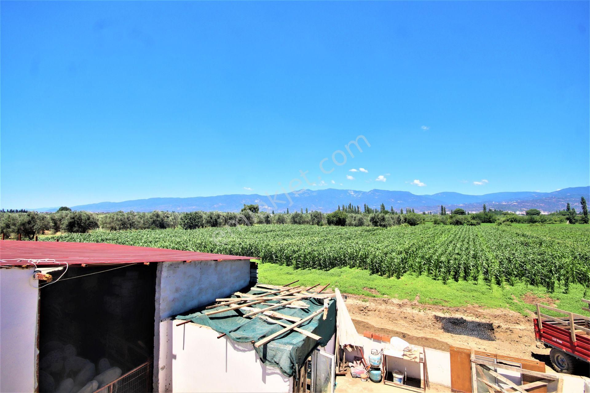 Aygül Den Edremit Çıkrıkçı Da Elektrik Suyu Olan 16.500 M2 Satılık Çiftlik Ve 3+1 Mustakil Daire - Görsel 20