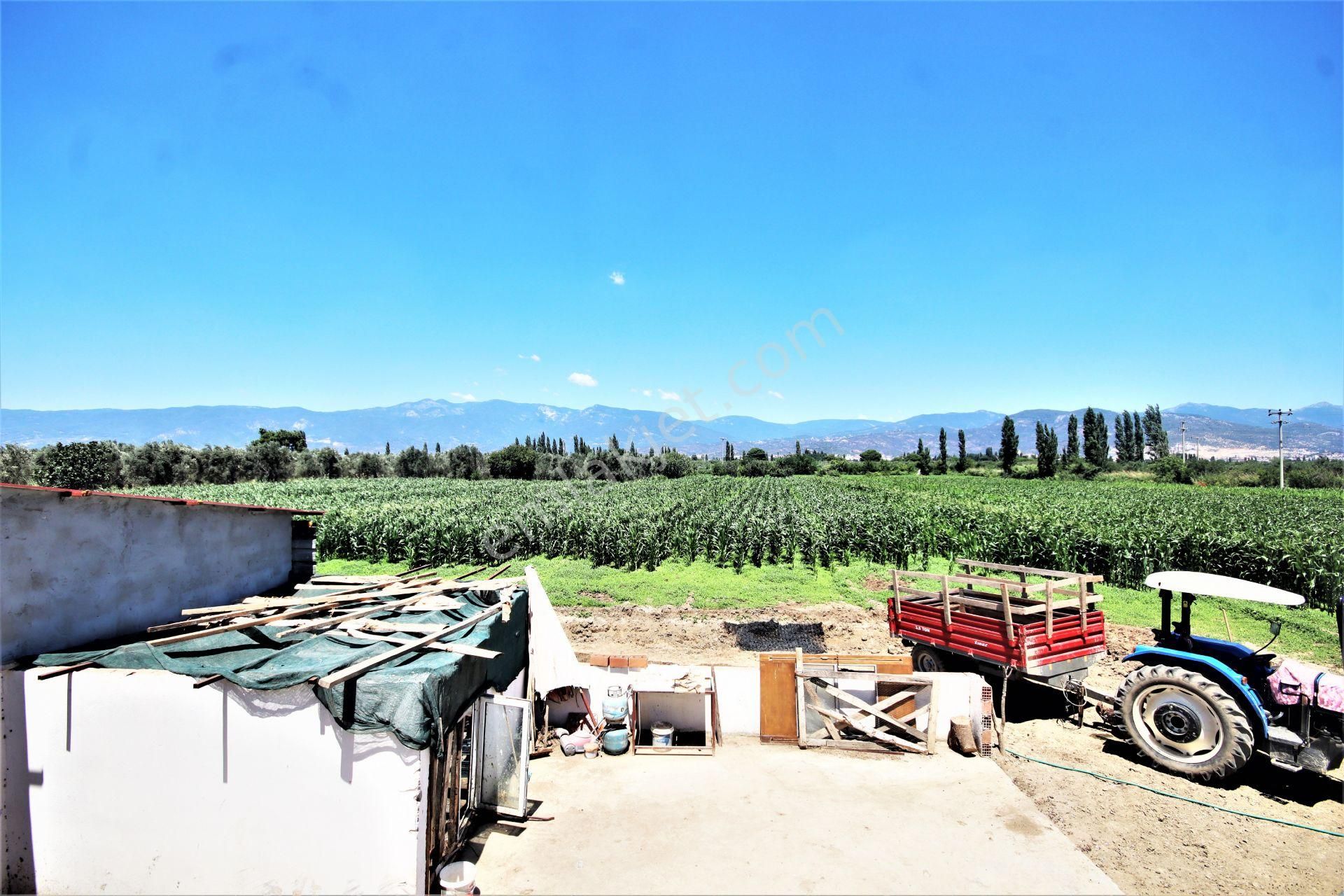 Aygül Den Edremit Çıkrıkçı Da Elektrik Suyu Olan 16.500 M2 Satılık Çiftlik Ve 3+1 Mustakil Daire - Görsel 18