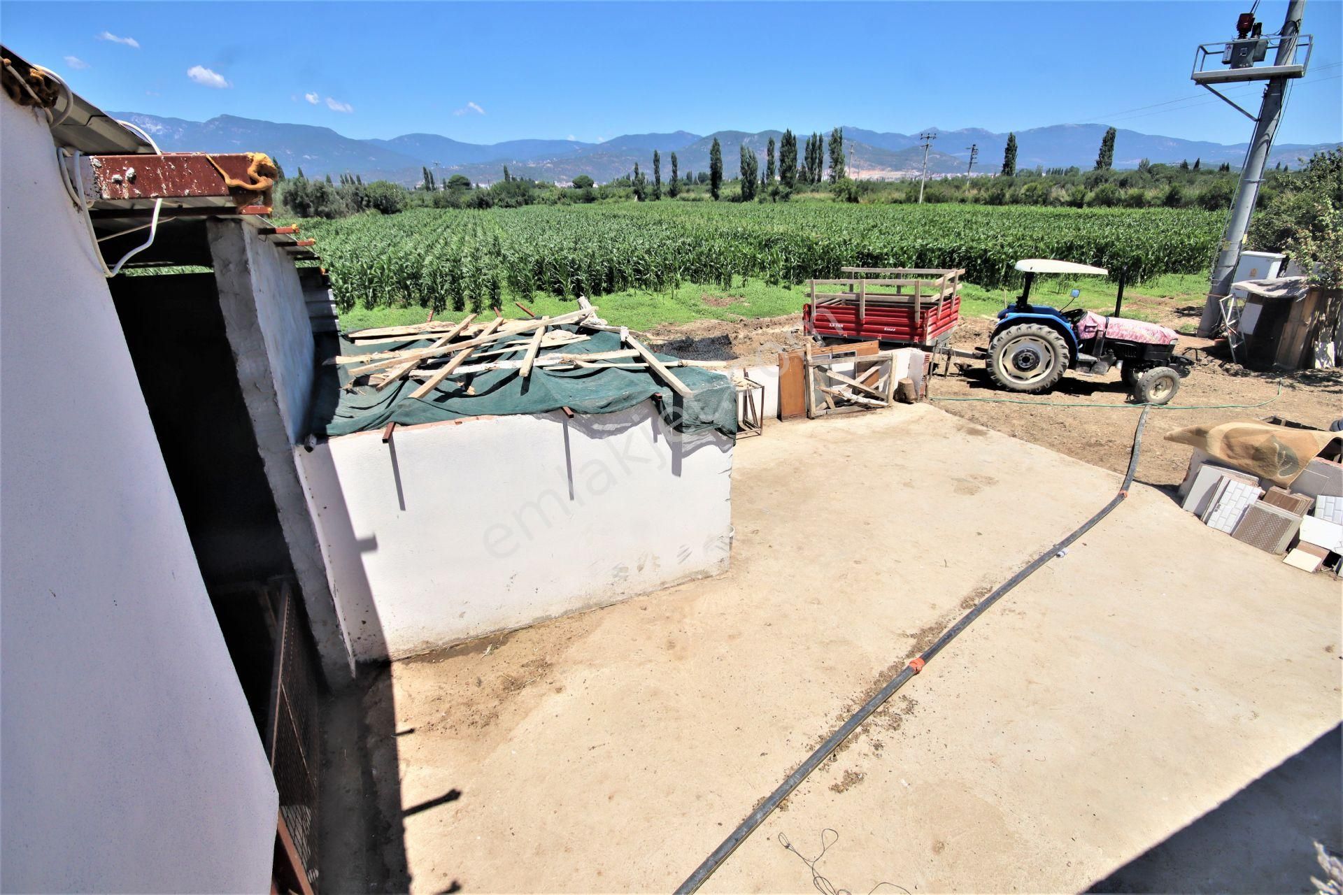 Aygül Den Edremit Çıkrıkçı Da Elektrik Suyu Olan 16.500 M2 Satılık Çiftlik Ve 3+1 Mustakil Daire - Görsel 16