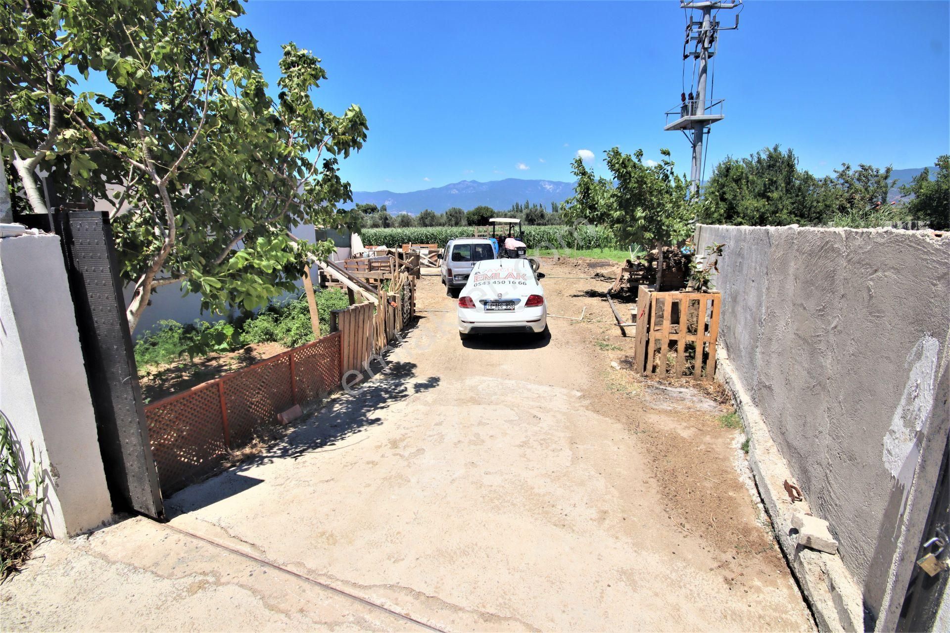 Aygül Den Edremit Çıkrıkçı Da Elektrik Suyu Olan 16.500 M2 Satılık Çiftlik Ve 3+1 Mustakil Daire - Görsel 32