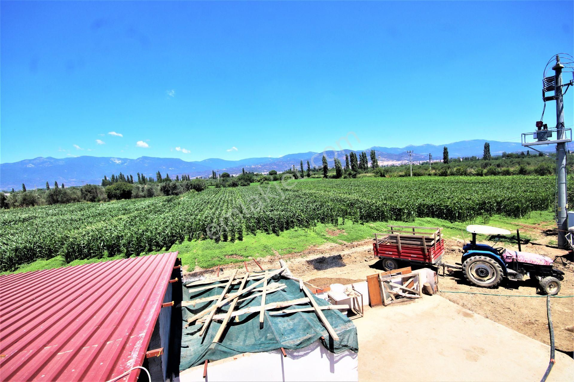 Aygül Den Edremit Çıkrıkçı Da Elektrik Suyu Olan 16.500 M2 Satılık Çiftlik Ve 3+1 Mustakil Daire - Görsel 22