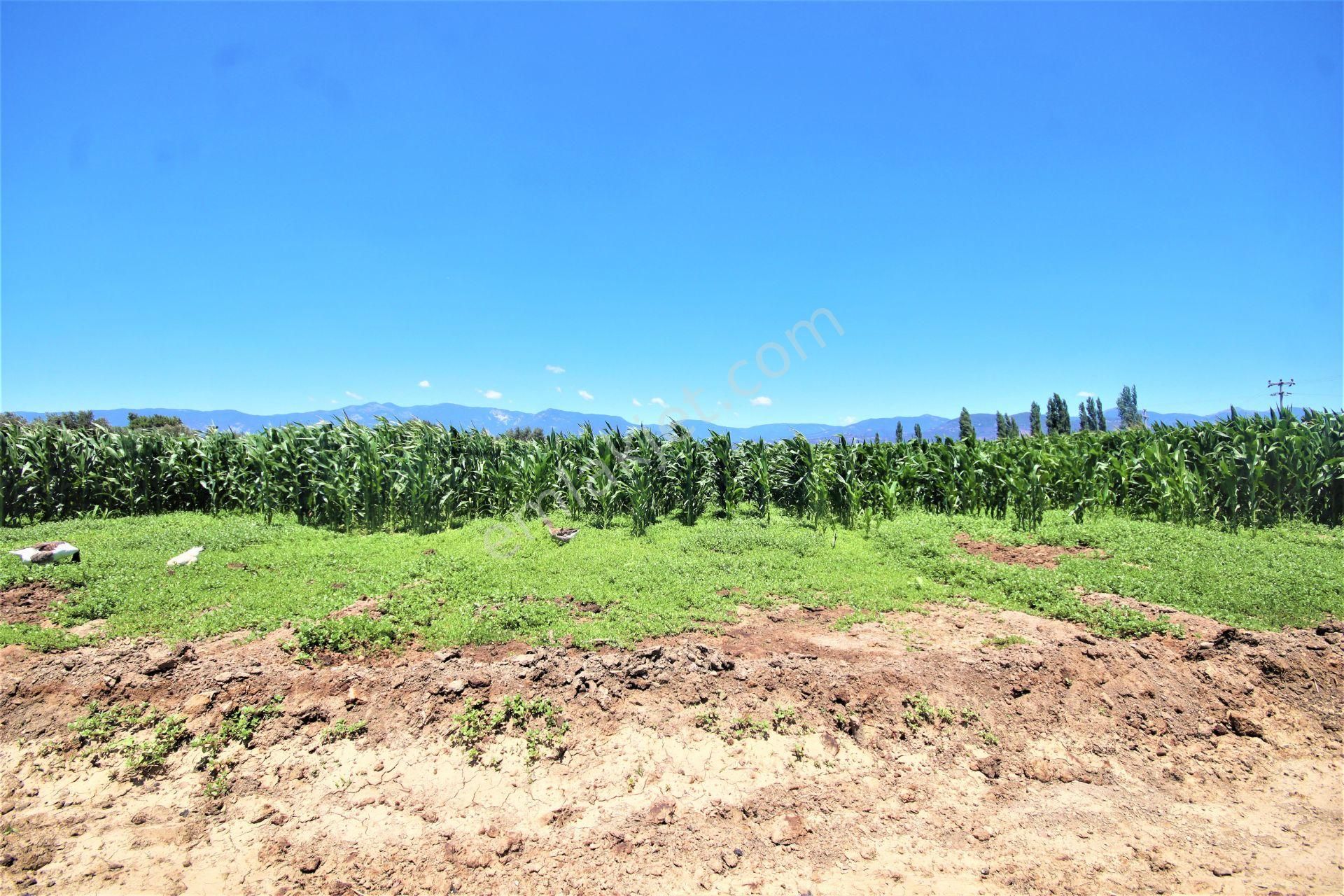 Aygül Den Edremit Çıkrıkçı Da Elektrik Suyu Olan 16.500 M2 Satılık Çiftlik Ve 3+1 Mustakil Daire - Görsel 15