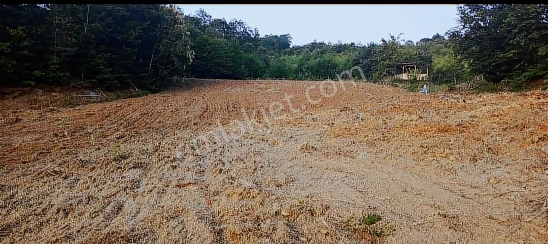 Kestel Gözede De Satılık Tarla