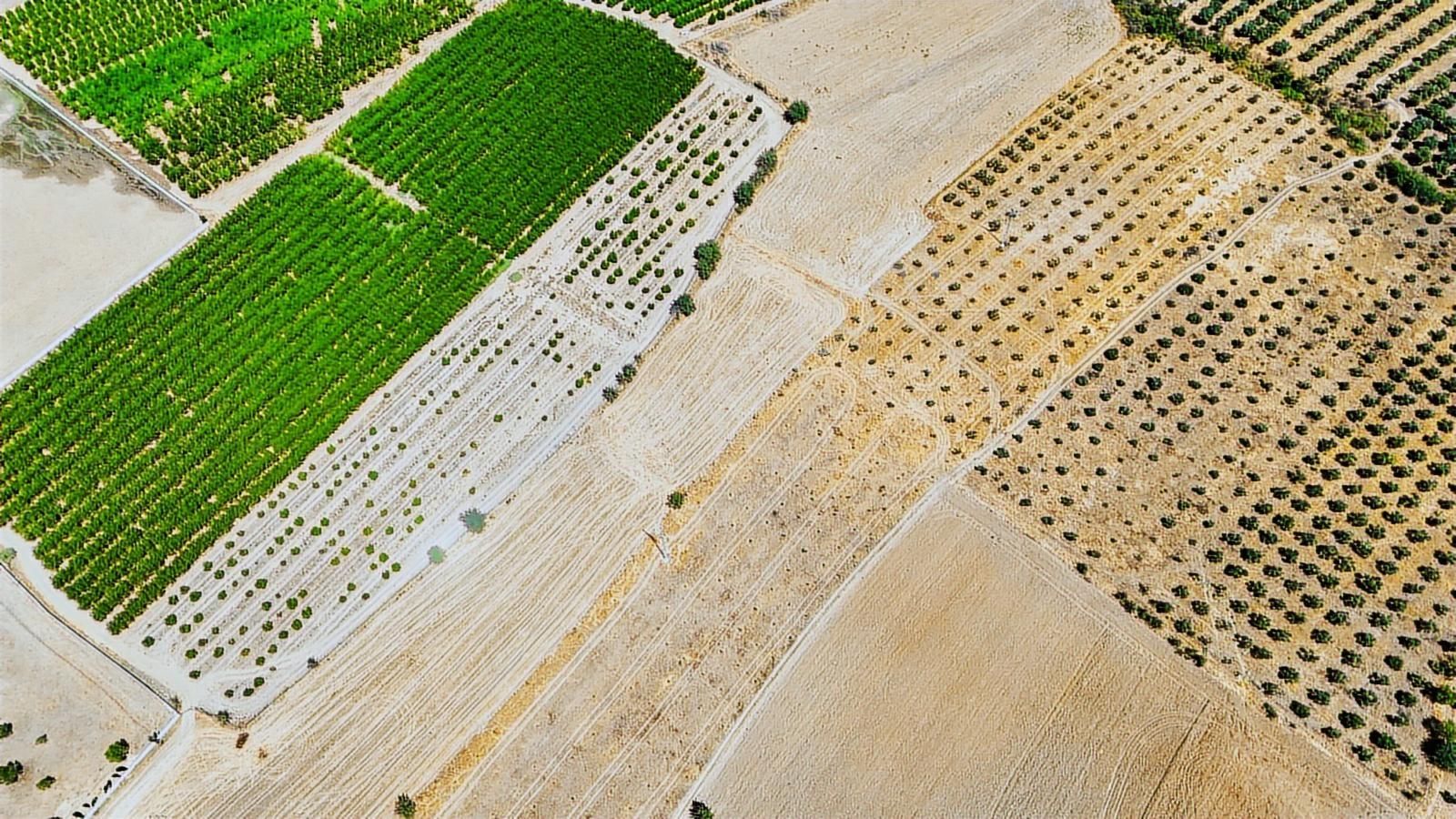 Cb Marina'dan Hacıbayramlar Mah. Satılık 2780 M2 "tarla" - Görsel 5