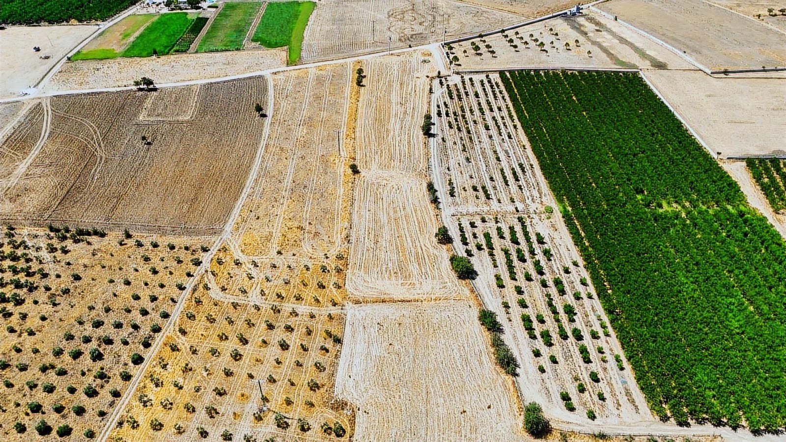 Cb Marina'dan Hacıbayramlar Mah. Satılık 2780 M2 "tarla" - Görsel 10