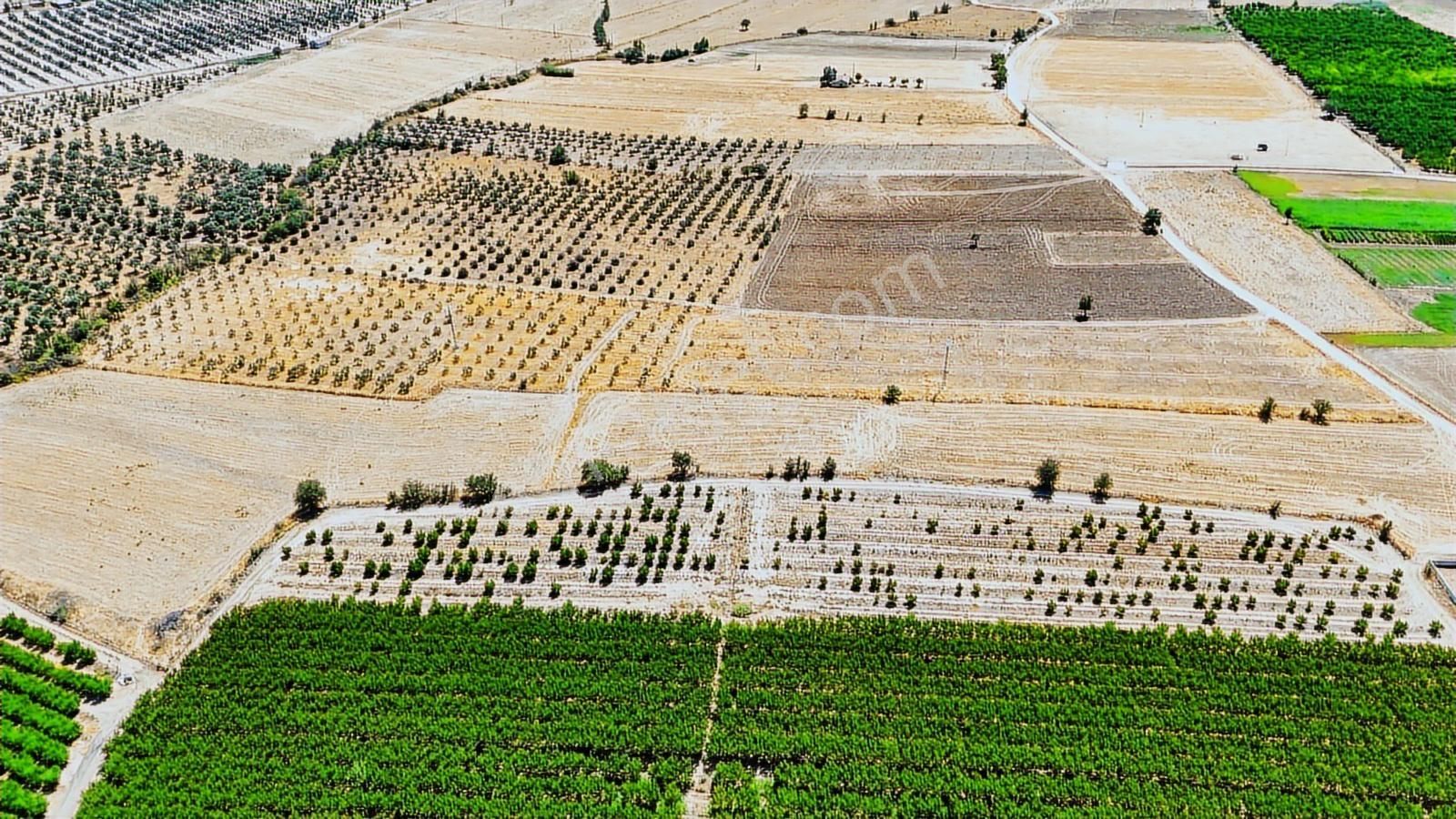 Cb Marina'dan Hacıbayramlar Mah. Satılık 2780 M2 "tarla" - Görsel 20