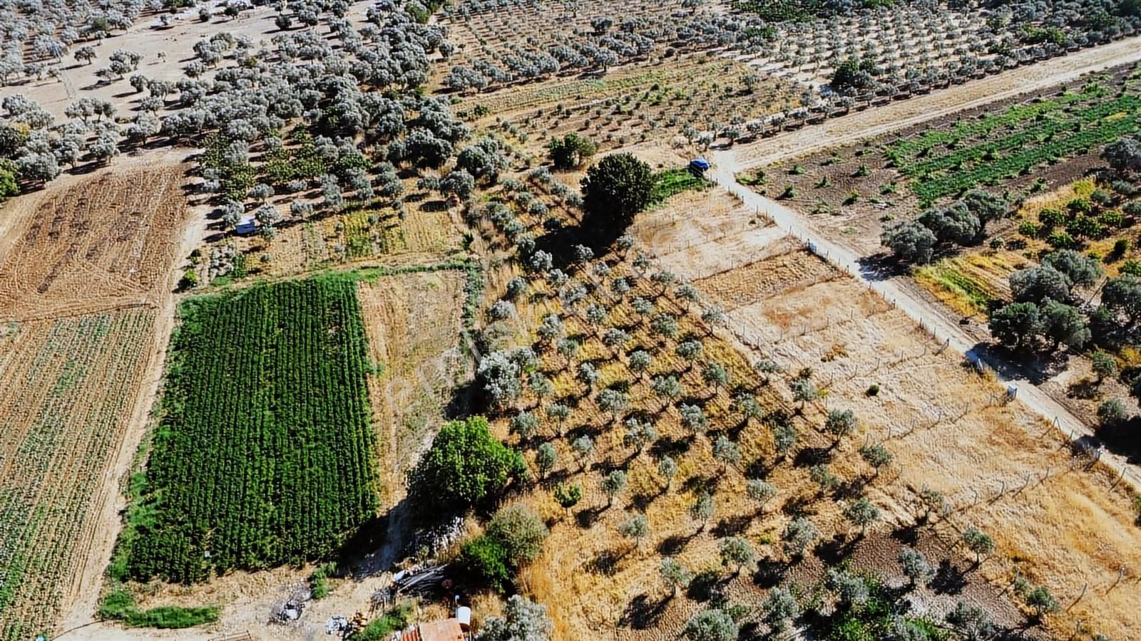 Remax Arma'dan Torbalı Ortaköy'de Kiralık Tarla - Görsel 29