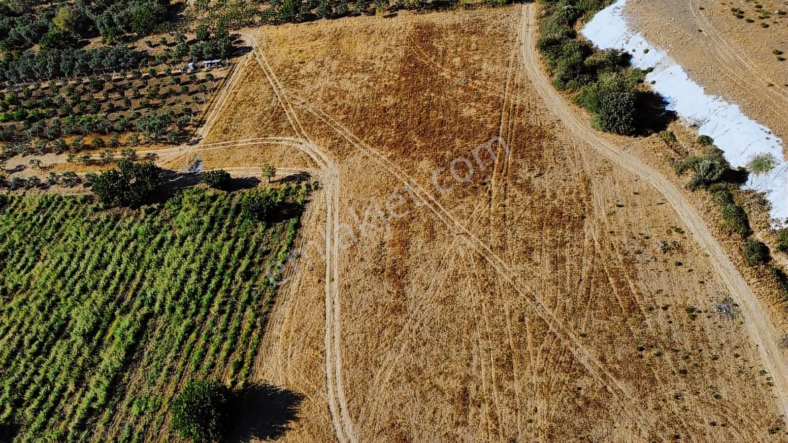 Remax Arma'dan Torbalı Ortaköy'de Kiralık Tarla - Görsel 31