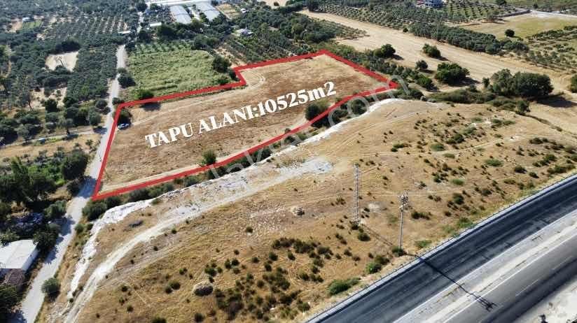 Remax Arma'dan Torbalı Ortaköy'de Kiralık Tarla