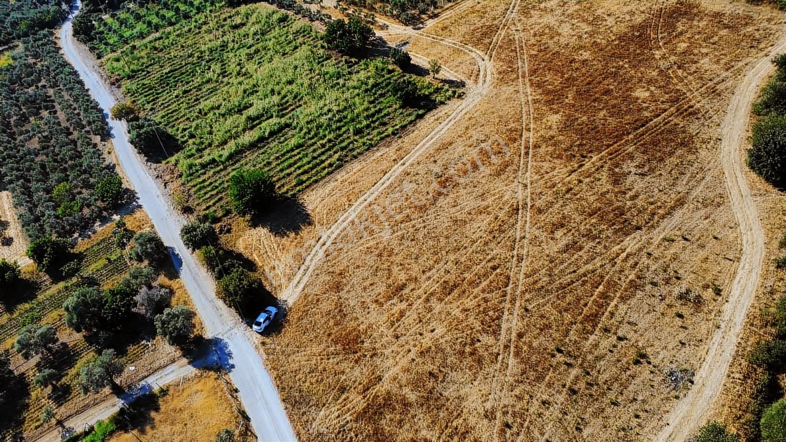Remax Arma'dan Torbalı Ortaköy'de Kiralık Tarla - Görsel 32