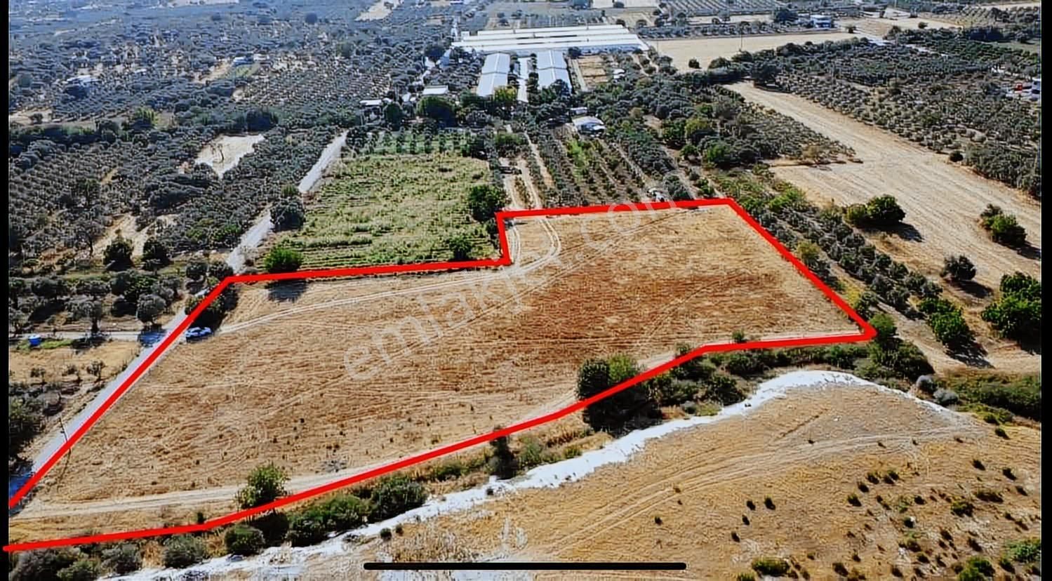 Remax Arma'dan Torbalı Ortaköy'de Kiralık Tarla - Görsel 6