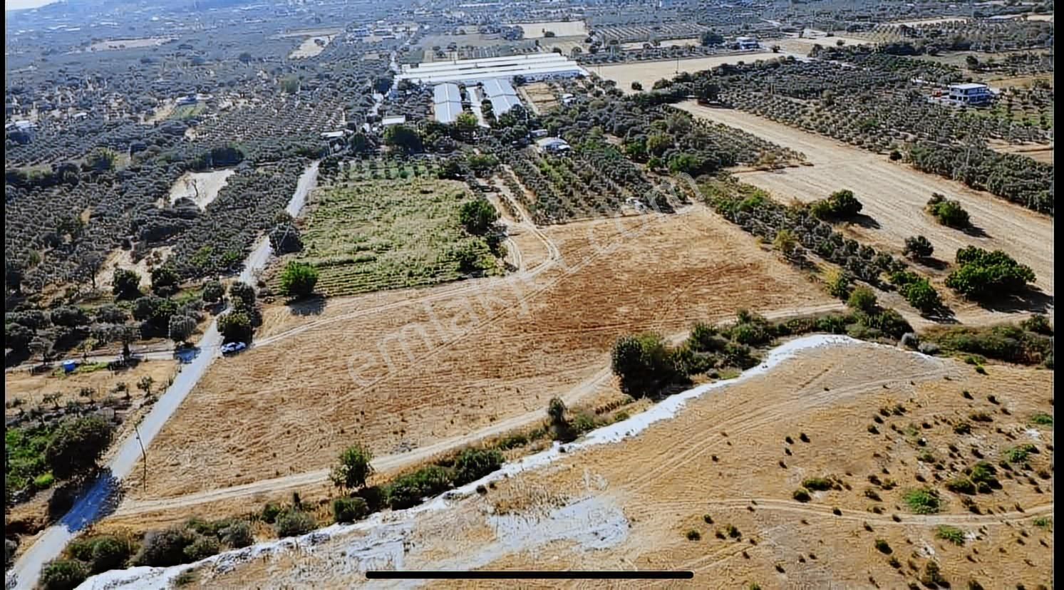 Remax Arma'dan Torbalı Ortaköy'de Kiralık Tarla - Görsel 14