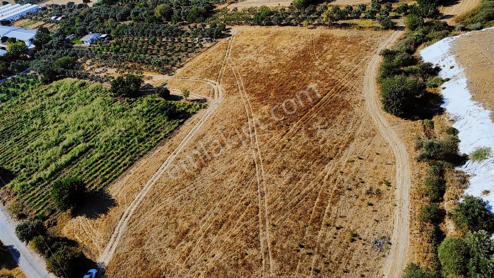 Remax Arma'dan Torbalı Ortaköy'de Kiralık Tarla - Görsel 34