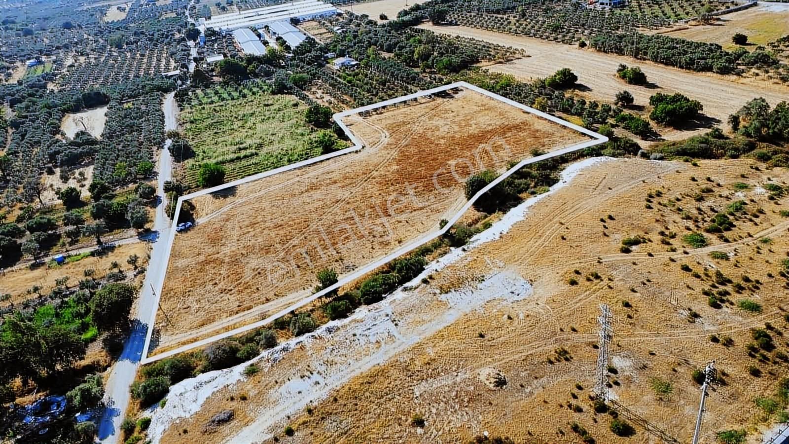 Remax Arma'dan Torbalı Ortaköy'de Kiralık Tarla - Görsel 13