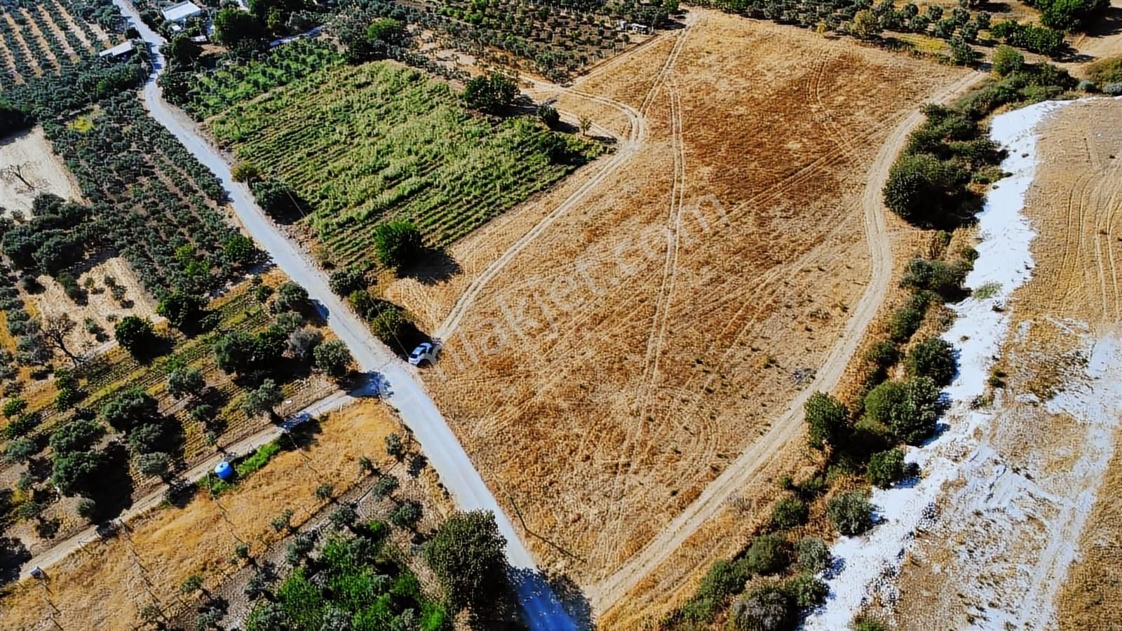 Remax Arma'dan Torbalı Ortaköy'de Kiralık Tarla - Görsel 27