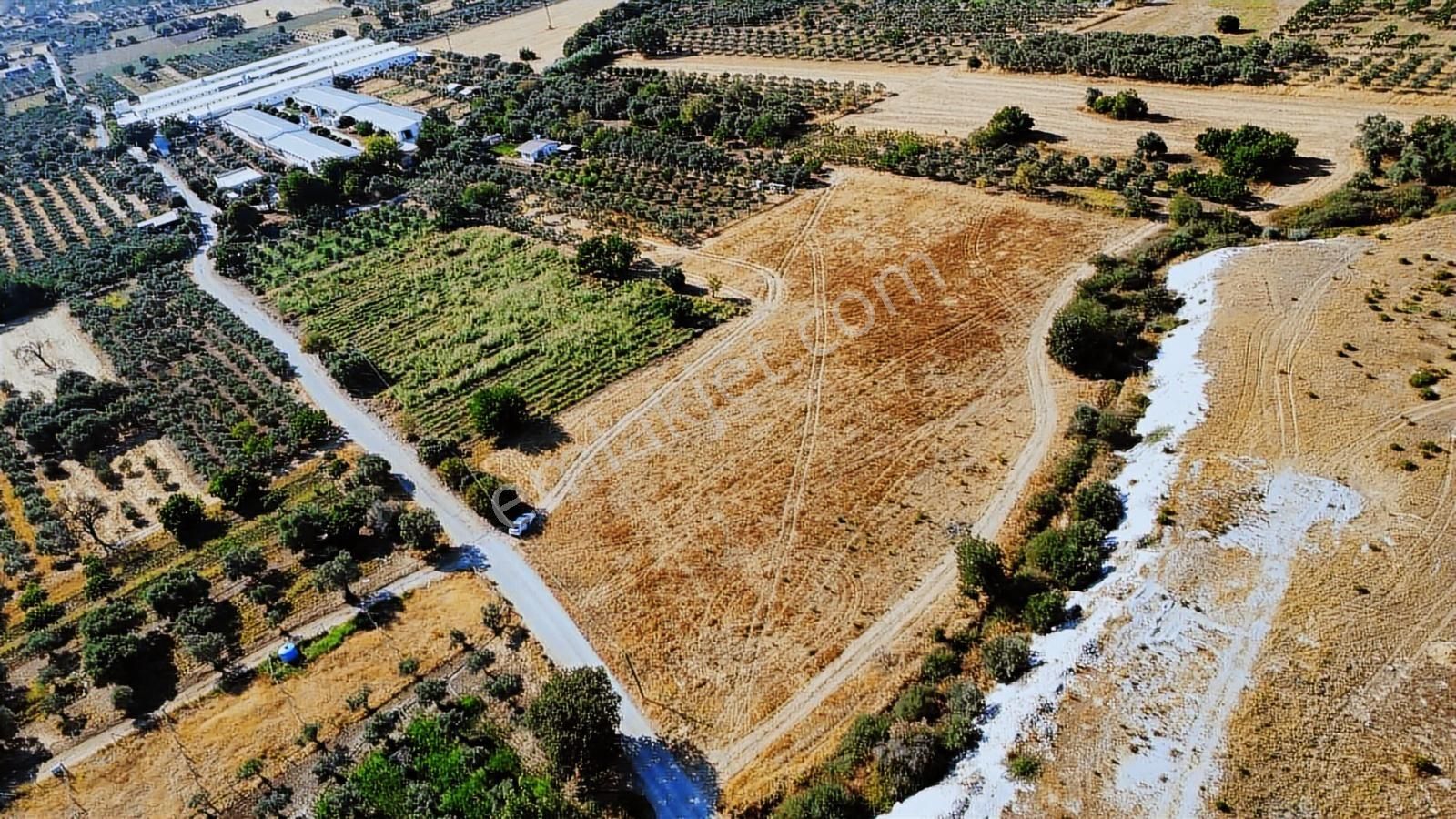 Remax Arma'dan Torbalı Ortaköy'de Kiralık Tarla - Görsel 26