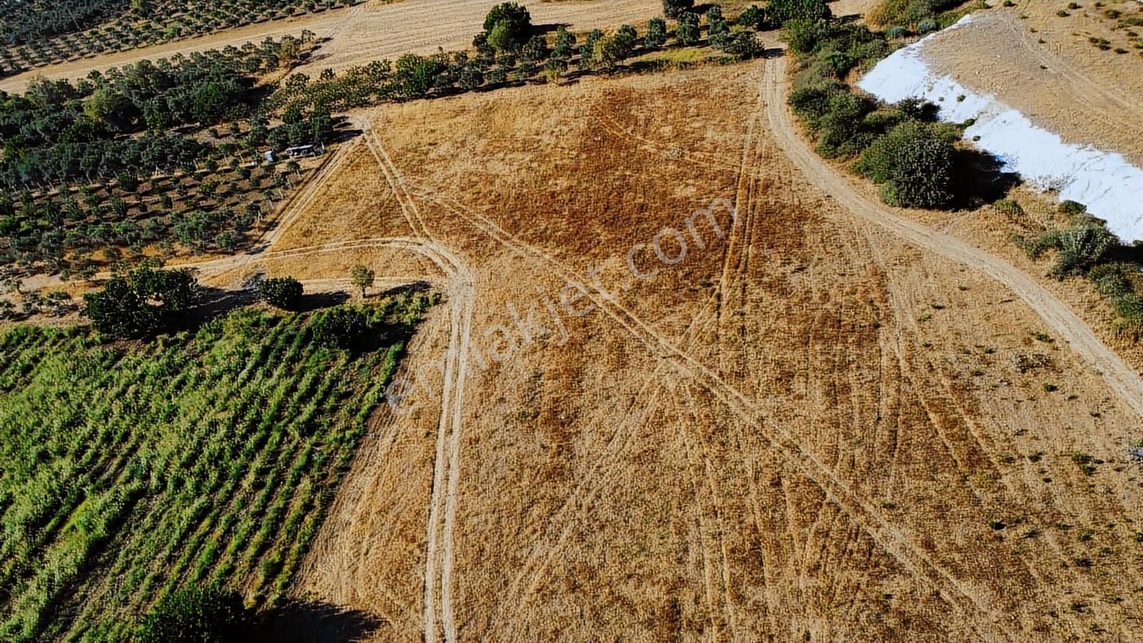 Remax Arma'dan Torbalı Ortaköy'de Kiralık Tarla - Görsel 9