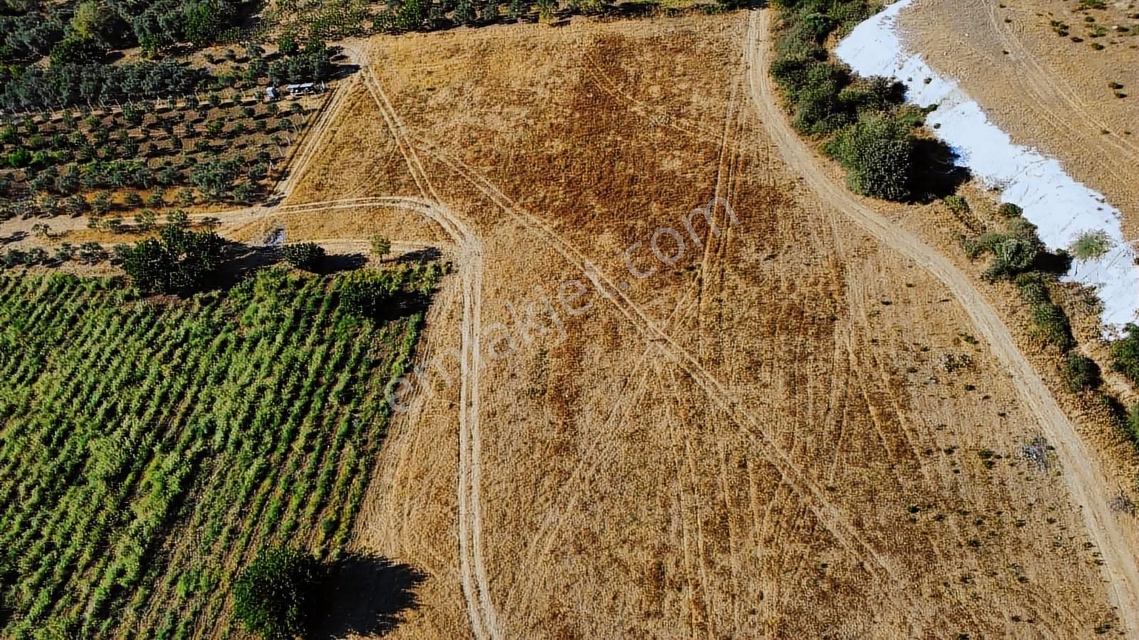 Remax Arma'dan Torbalı Ortaköy'de Kiralık Tarla - Görsel 30