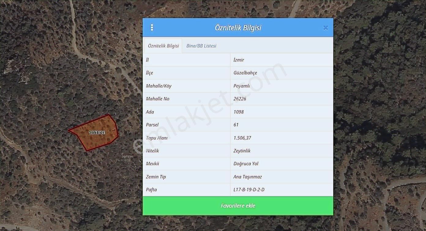 Güzelbahçe Payamlıda Satılık 1506 M² Tek Tapu Zeytinlik - Görsel 2