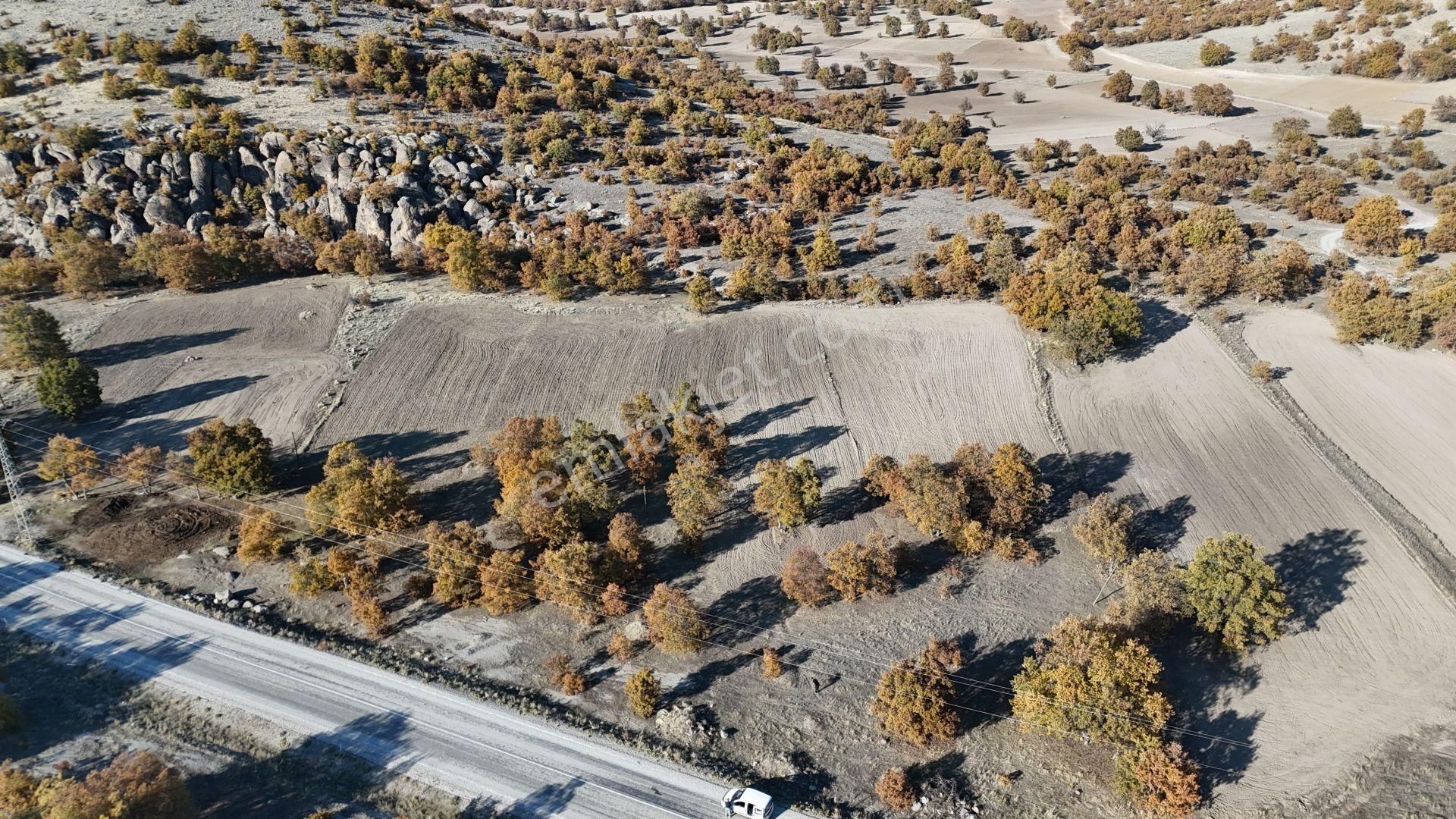 Konya / Meram / Kumrali Mahallesinde 2.540 M² Müstakil Tapulu Tarla - Görsel 6