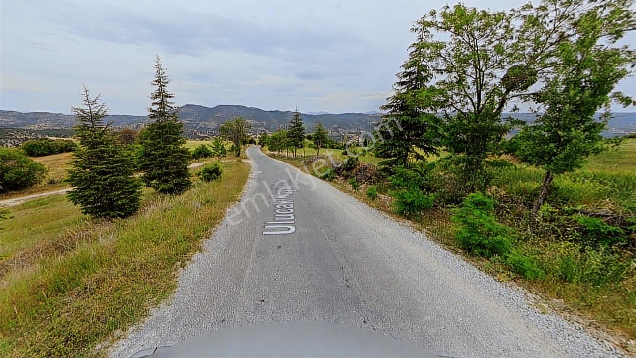 Uşak Merkez Ulucakta Satılık 11770 M² Tek Tapu Bahçe Fırsatı - Görsel 4