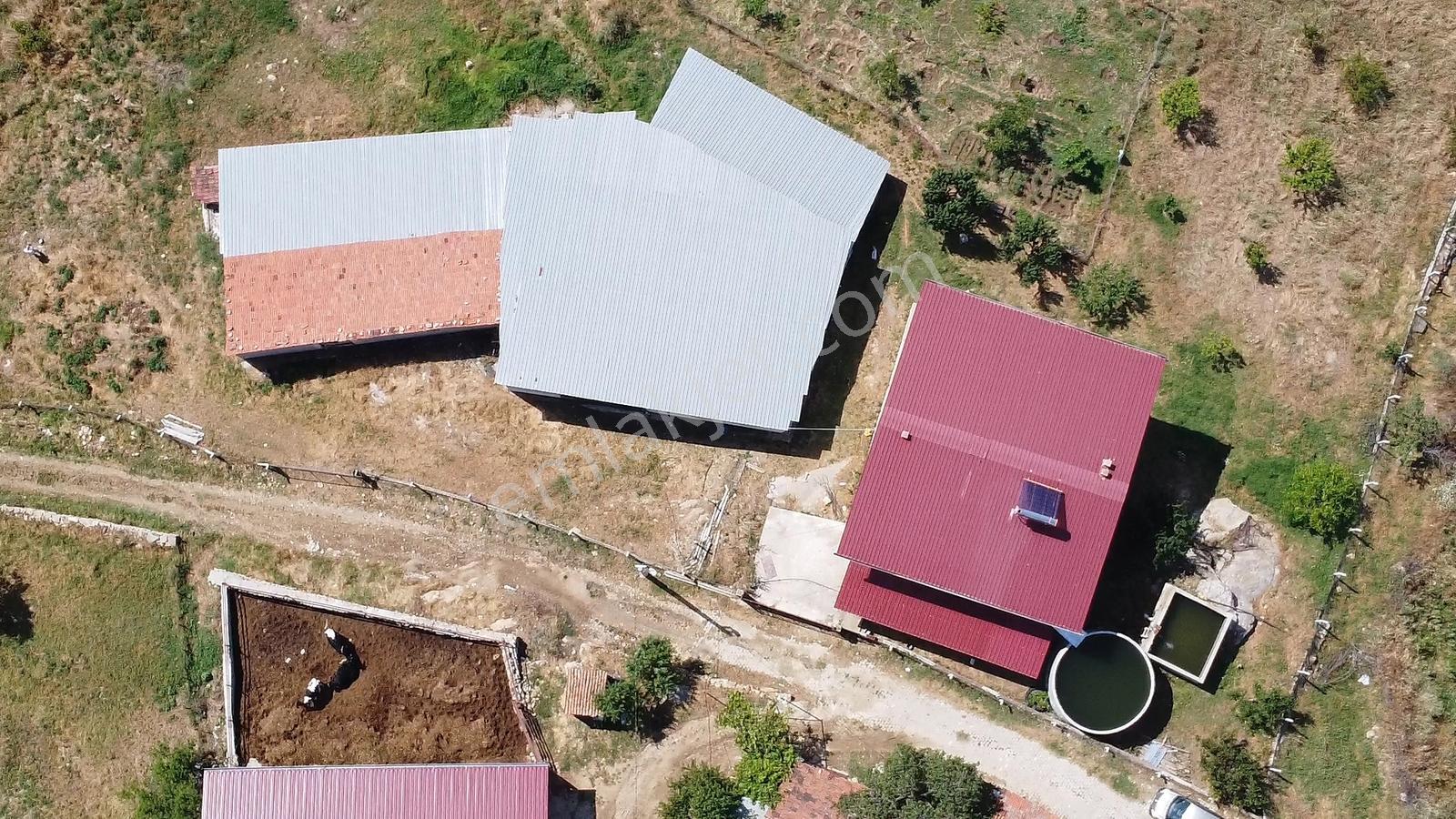 Manisa Kulada Satılık Çiftlik Evi Ve 15.951 M² Arazisi - Görsel 20
