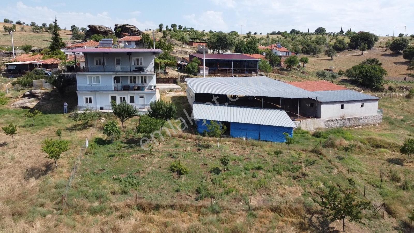 Manisa Kulada Satılık Çiftlik Evi Ve 15.951 M² Arazisi - Görsel 19
