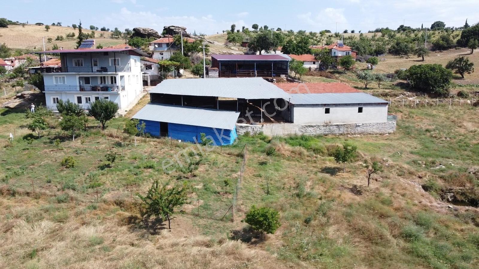 Manisa Kulada Satılık Çiftlik Evi Ve 15.951 M² Arazisi