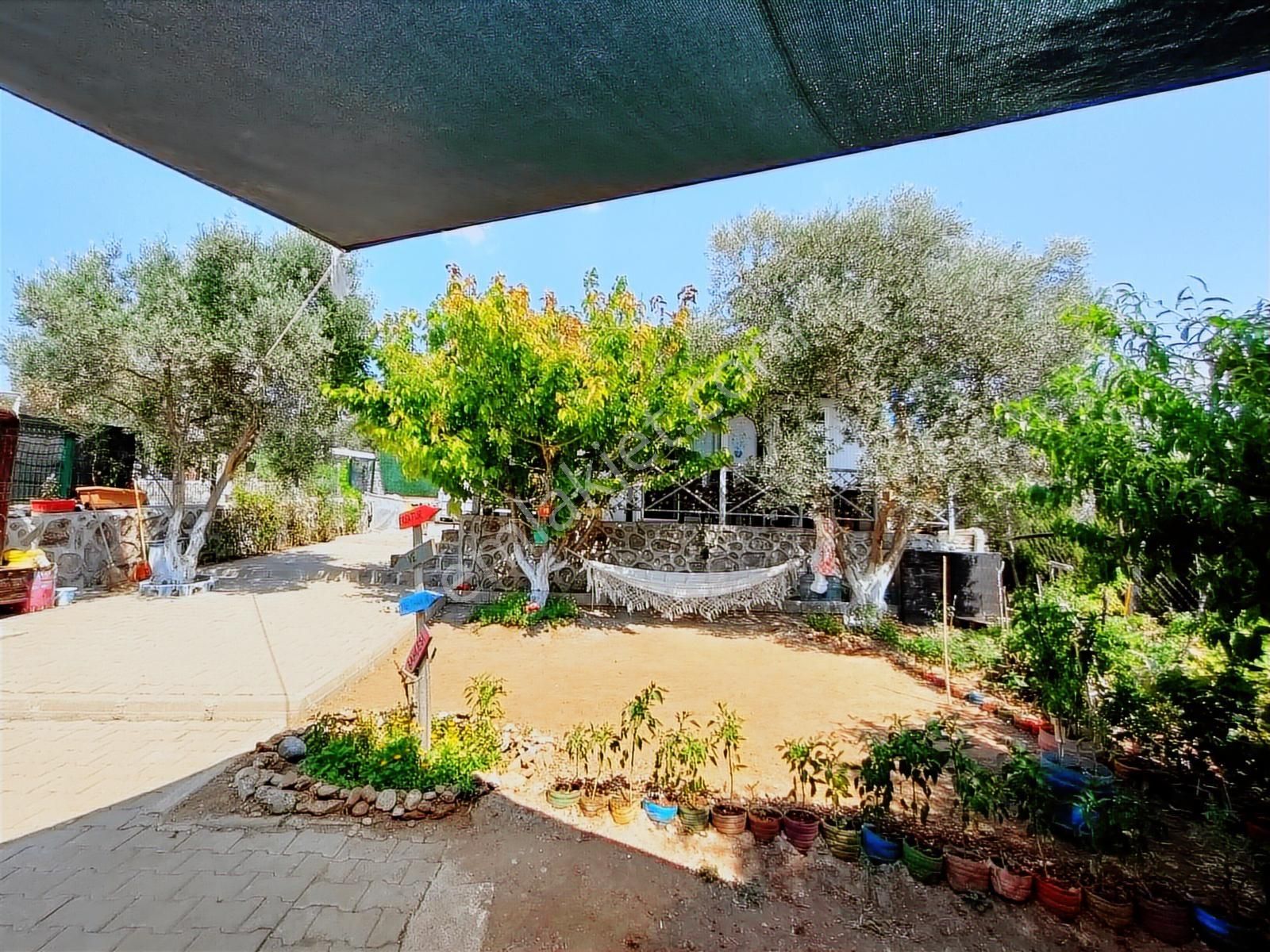 Buca Belenbaşı 232m² Numaratajı Alınmış Fırsat Evi Olan Bahçe