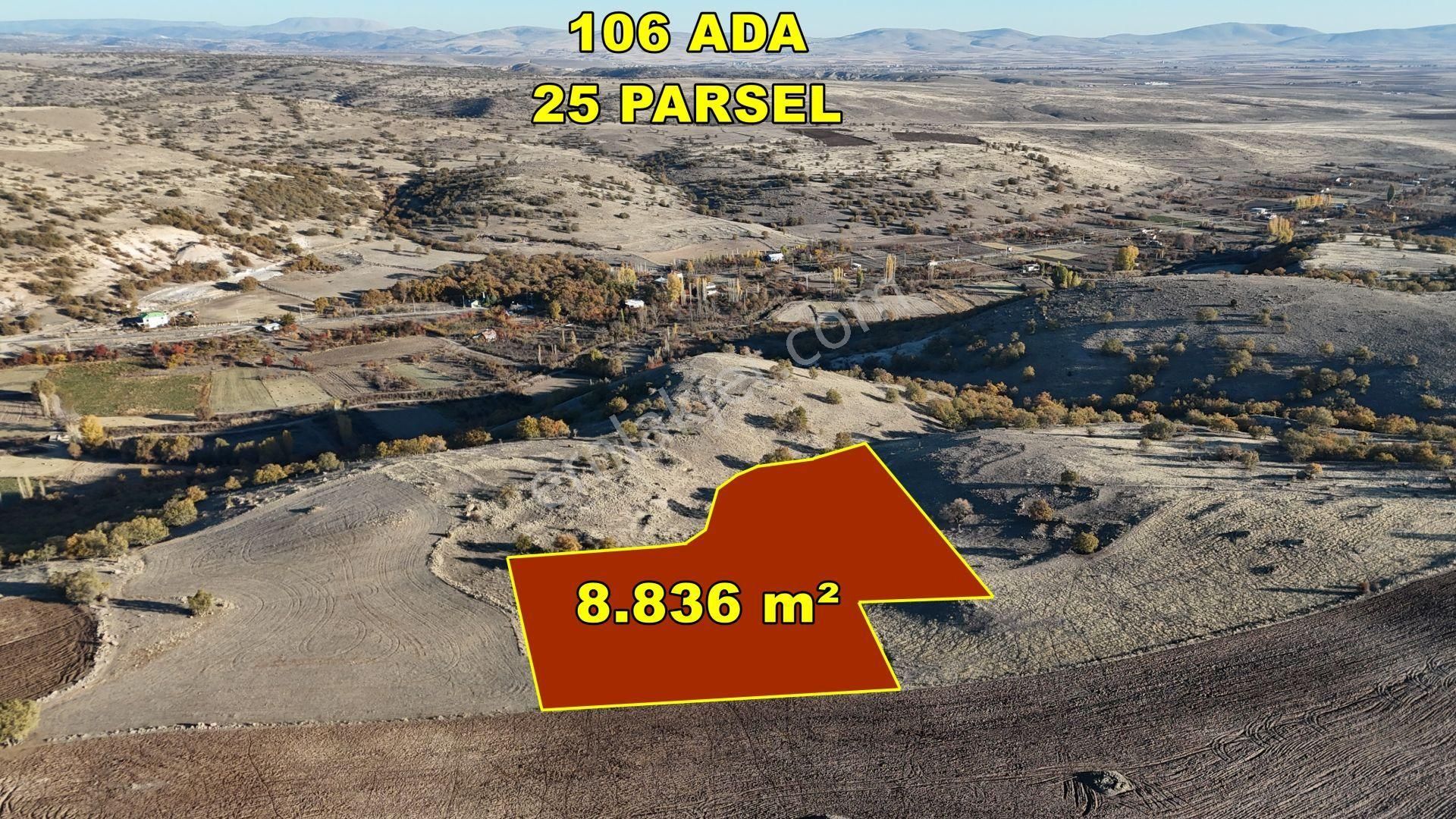 Konya / Meram / Çomaklar Mahallesinde 8.836 M² Müstakil Tapulu Tarla