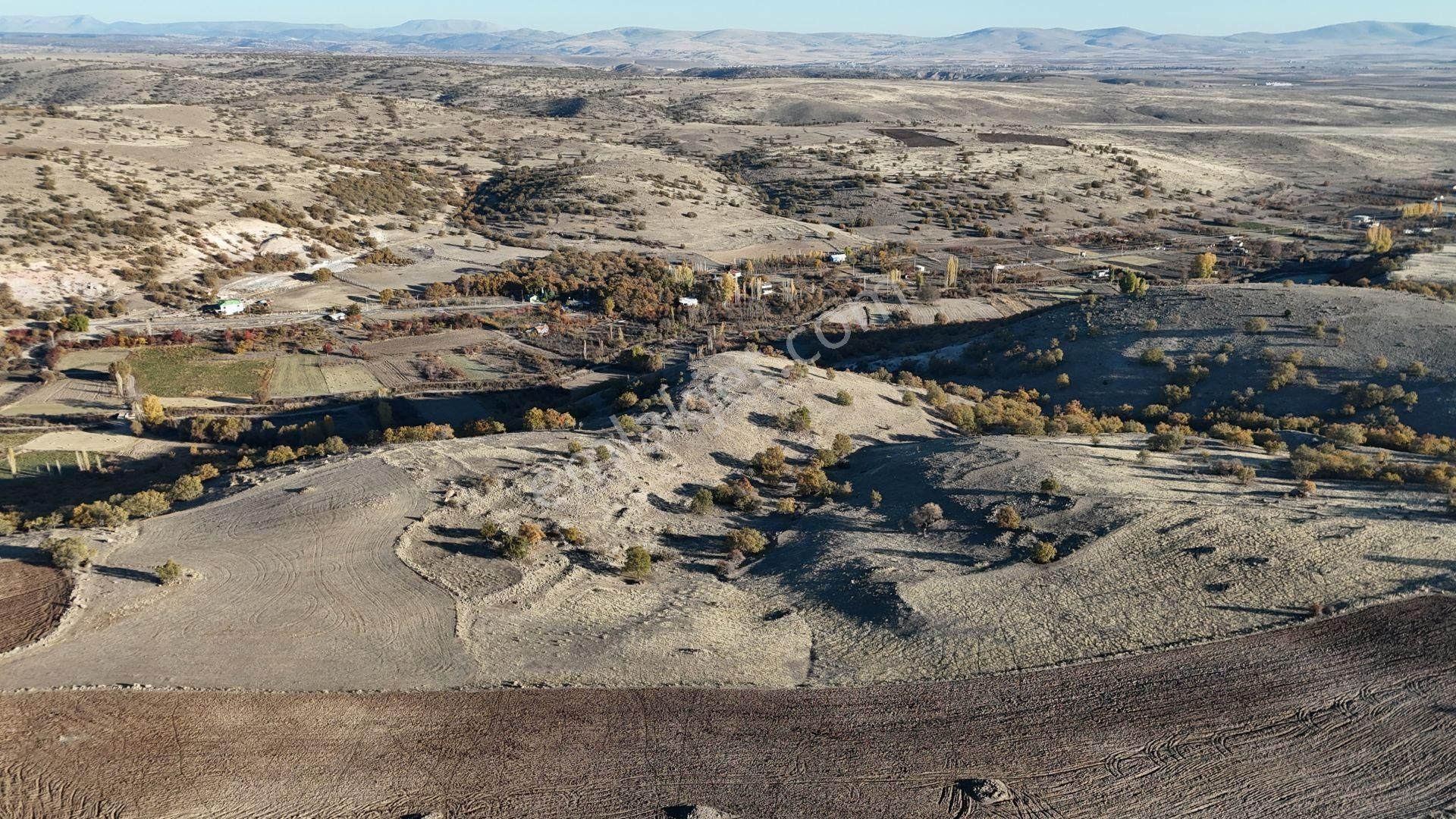 Konya / Meram / Çomaklar Mahallesinde 8.836 M² Müstakil Tapulu Tarla - Görsel 4