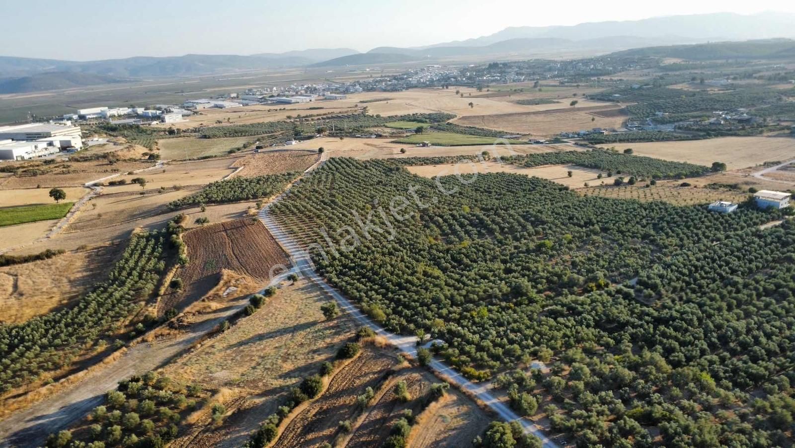 Remax Arma'dan Bulgurca Mah Acil Satılık 7540m2 Tarla - Görsel 9