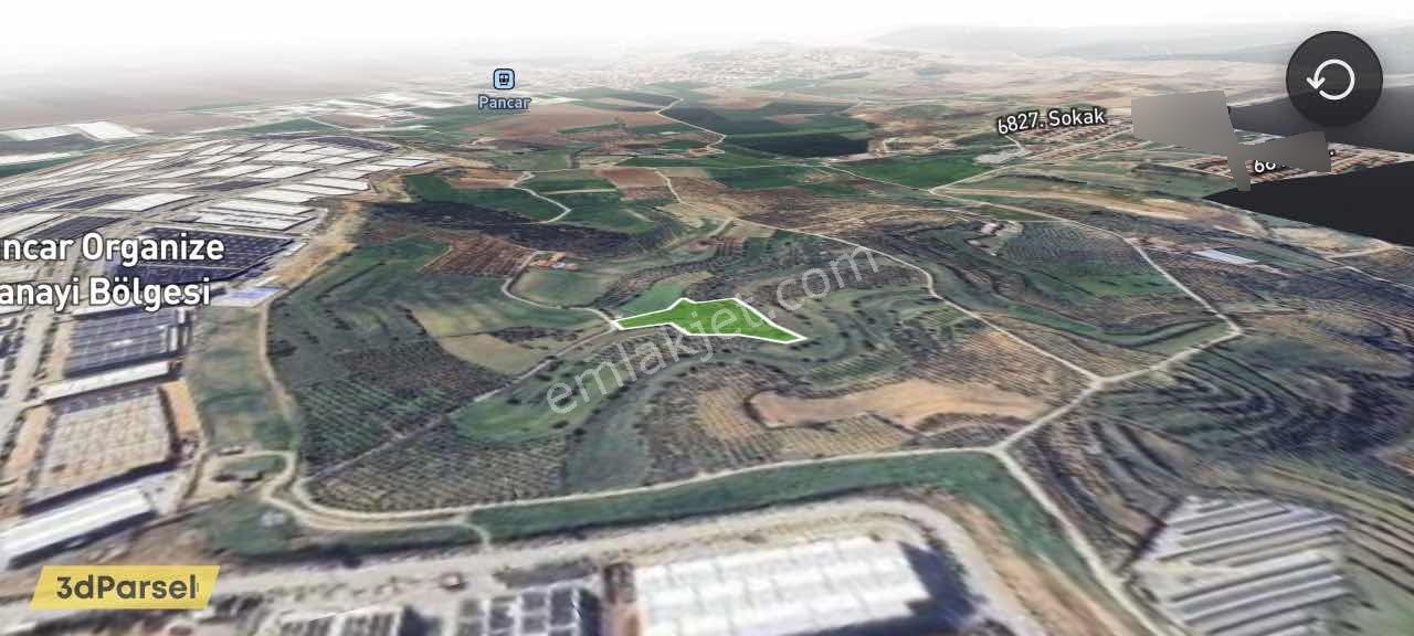 Remax Arma'dan Bulgurca Mah Acil Satılık 7540m2 Tarla - Görsel 3