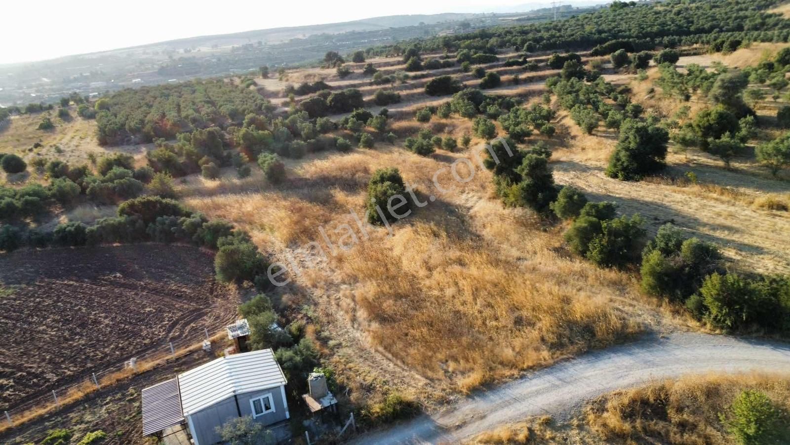 Remax Arma'dan Bulgurca Mah Acil Satılık 7540m2 Tarla - Görsel 35