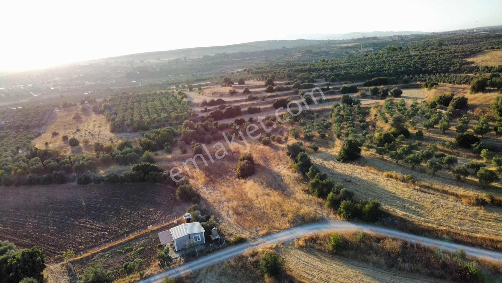 Remax Arma'dan Bulgurca Mah Acil Satılık 7540m2 Tarla - Görsel 20