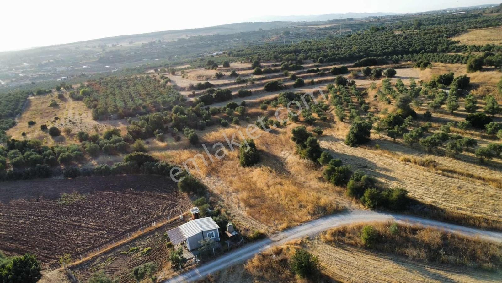 Remax Arma'dan Bulgurca Mah Acil Satılık 7540m2 Tarla - Görsel 32