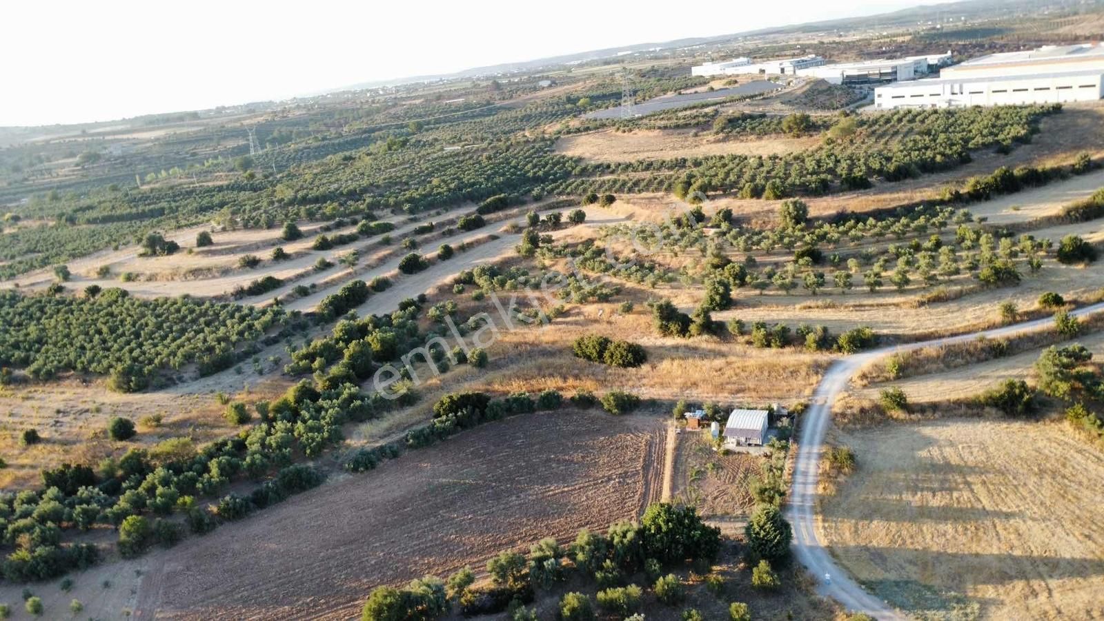 Remax Arma'dan Bulgurca Mah Acil Satılık 7540m2 Tarla - Görsel 6