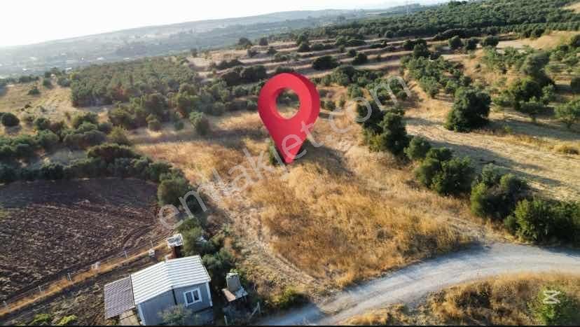 Remax Arma'dan Bulgurca Mah Acil Satılık 7540m2 Tarla - Görsel 17