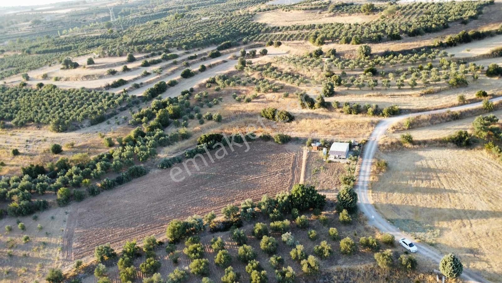 Remax Arma'dan Bulgurca Mah Acil Satılık 7540m2 Tarla - Görsel 7