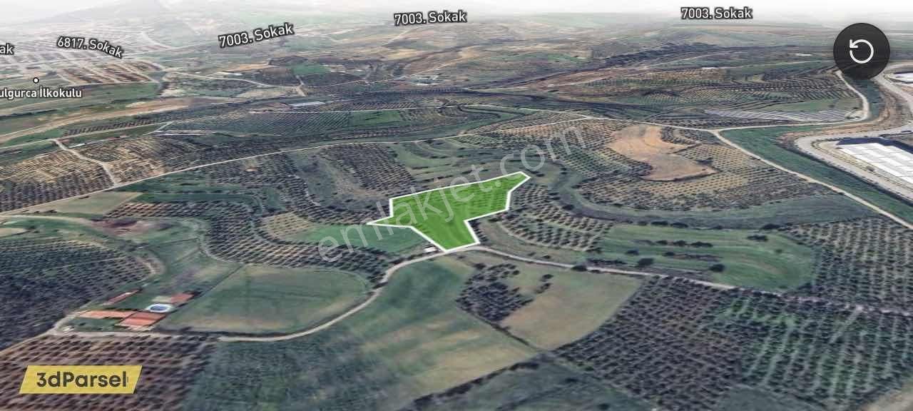 Remax Arma'dan Bulgurca Mah Acil Satılık 7540m2 Tarla - Görsel 4