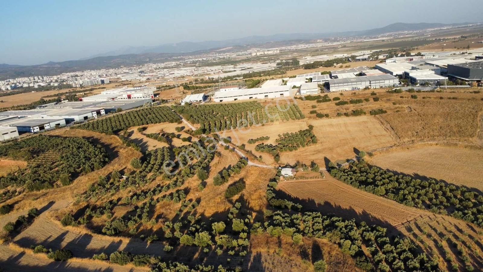 Remax Arma'dan Bulgurca Mah Acil Satılık 7540m2 Tarla - Görsel 18